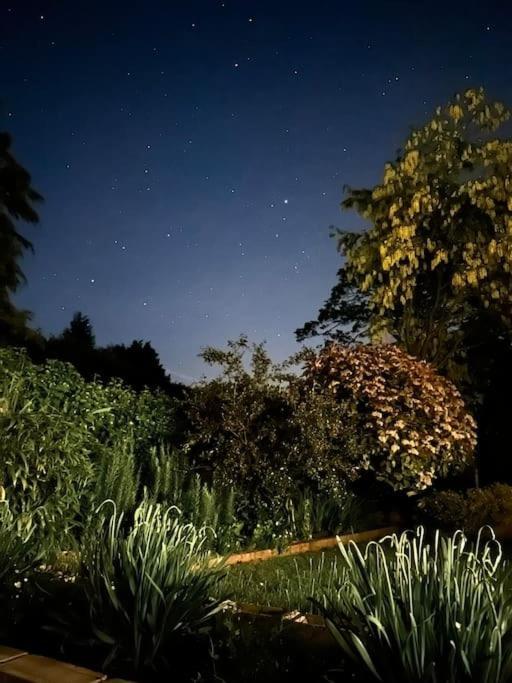 Linden Suite Goring Zewnętrze zdjęcie
